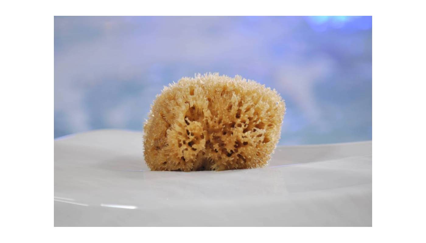 Eponge Honeycomb / Nid d'abeille - Naturelle 3" / 7,5 cm
