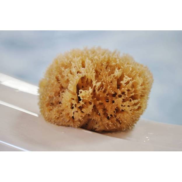 Eponge Honeycomb d'abeille - Naturelle 6" / 15 cm